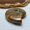 Natural Ammolite Fossil Display 62.95g 58.2 by 46.8 by 18.0mm - Huangs Jadeite and Jewelry Pte Ltd