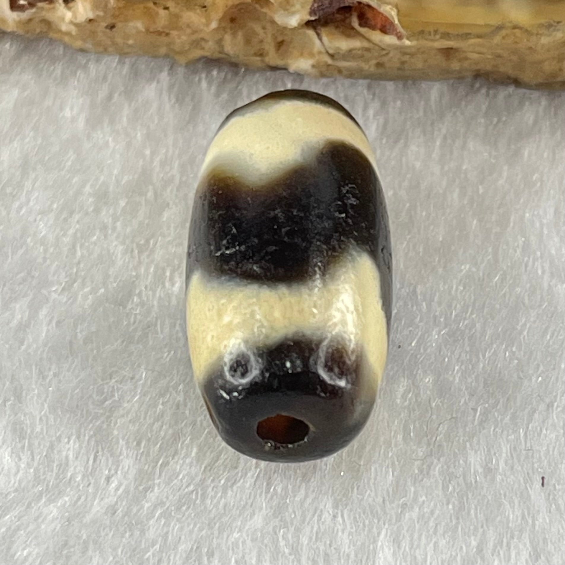 Natural Powerful Tibetan Old Oily Agate Tiger Tooth Daluo Dzi Bead Heavenly Master (Tian Zhu) 虎呀天诛 3.04g 19.9 by 10.1mm - Huangs Jadeite and Jewelry Pte Ltd