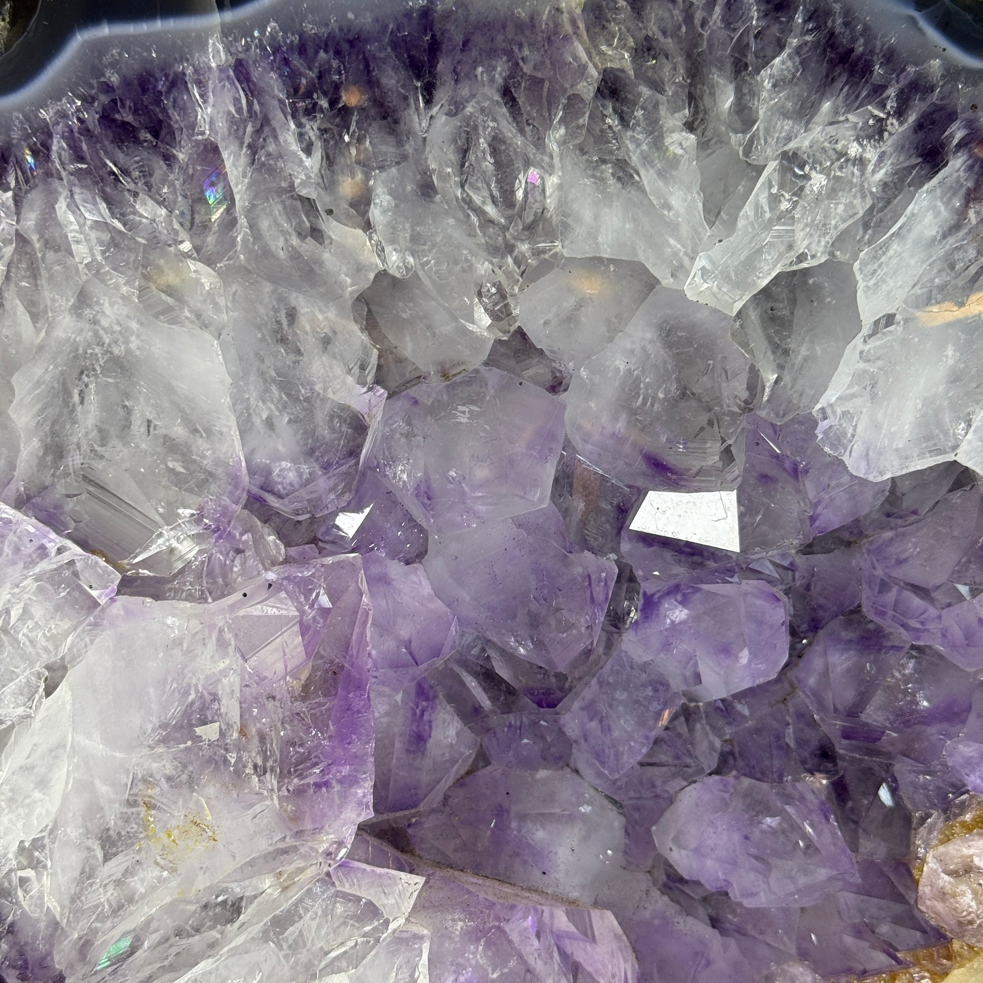 Natural Tree Shape Amethyst Cave with Wooden Stand Display 27,441.2g 410 by 235.0 by 505.0mm - Huangs Jadeite and Jewelry Pte Ltd