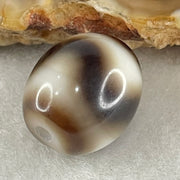 Natural Powerful Tibetan Old Oily Agate Tiger Tooth Daluo Dzi Bead Heavenly Master (Tian Zhu) 2.86g 13.6 by 12.0mm - Huangs Jadeite and Jewelry Pte Ltd