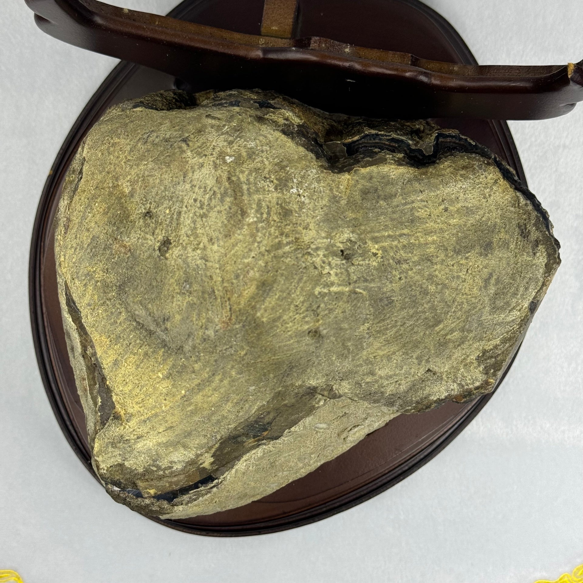 Natural Uruguay Amethyst Double Wealth Pot Cave Display with Wooden Stand 天然乌拉圭紫水晶洞摆件带木架 8,460.3g 260.0 by 300.0 by Heigh 300.0mm - Huangs Jadeite and Jewelry Pte Ltd