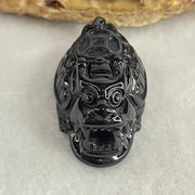 Type A Opaque Black Omphacite Jadeite Dragon Turtle with Coin Pendant Charm 12.45g 29.7 by 18.0 by 15.2mm - Huangs Jadeite and Jewelry Pte Ltd