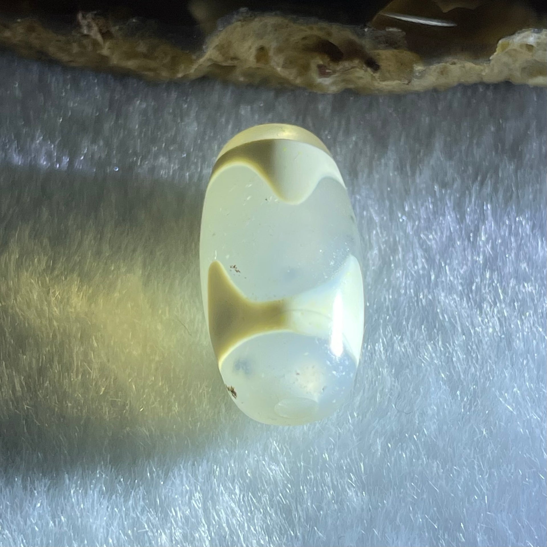 Natural Powerful Tibetan Old Oily Agate Tiger Tooth Daluo Dzi Bead Heavenly Master (Tian Zhu) 虎呀天诛 3.17g 20.0 by 10.4mm - Huangs Jadeite and Jewelry Pte Ltd