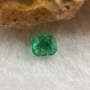 Natural Colombia Green Emerald (Beryl) Cut-Cornered Rectangular step cut 0.52ct 4.8 by 4.7 by 3.5mm - Huangs Jadeite and Jewelry Pte Ltd