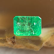Natural Colombia Green Emerald (Beryl) Cut-Cornered Rectangular step cut 0.89ct 6.4 by 4.8 by 3.5mm - Huangs Jadeite and Jewelry Pte Ltd