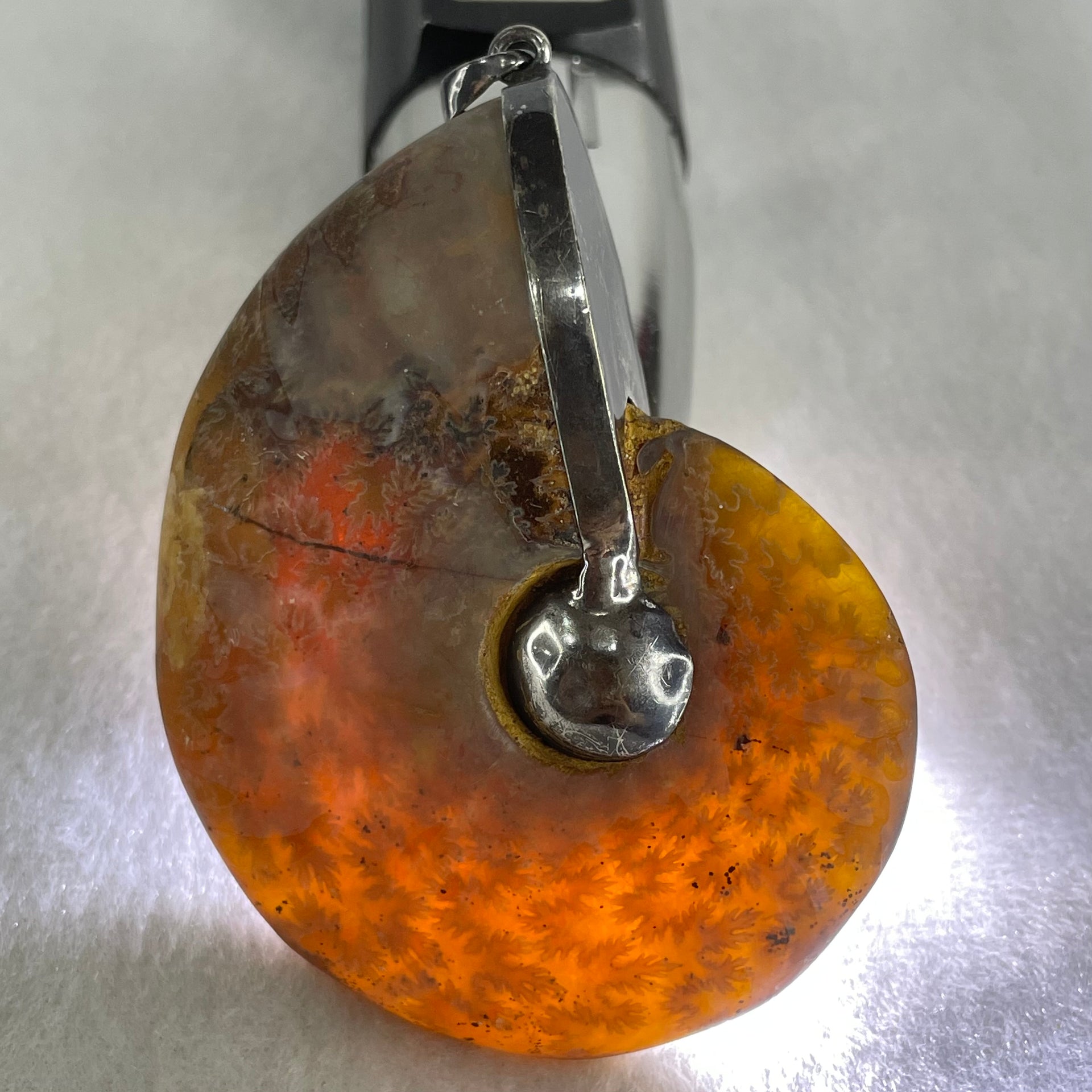 Natural Ammonite Fossil in Silver Pendant 71.05g 62.6 by 51.9 by 17.4mm - Huangs Jadeite and Jewelry Pte Ltd