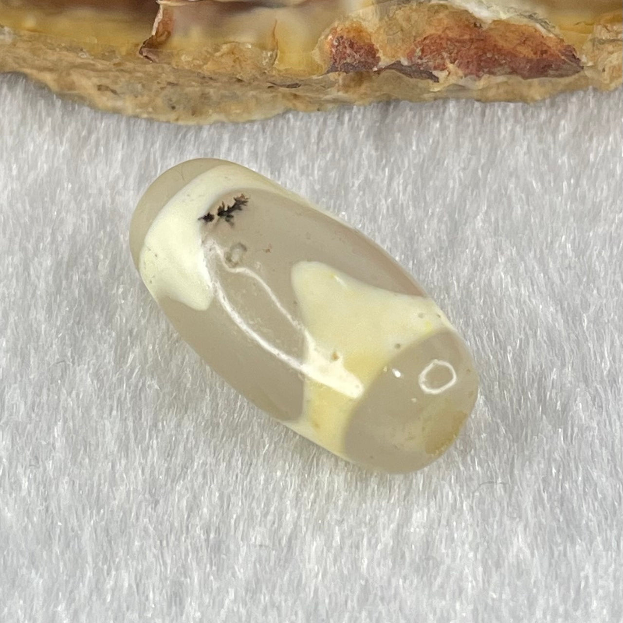 Natural Powerful Tibetan Old Oily Agate Tiger Tooth Daluo Dzi Bead Heavenly Master (Tian Zhu) 虎呀天诛 2.71g 20.0 by 9.9mm - Huangs Jadeite and Jewelry Pte Ltd