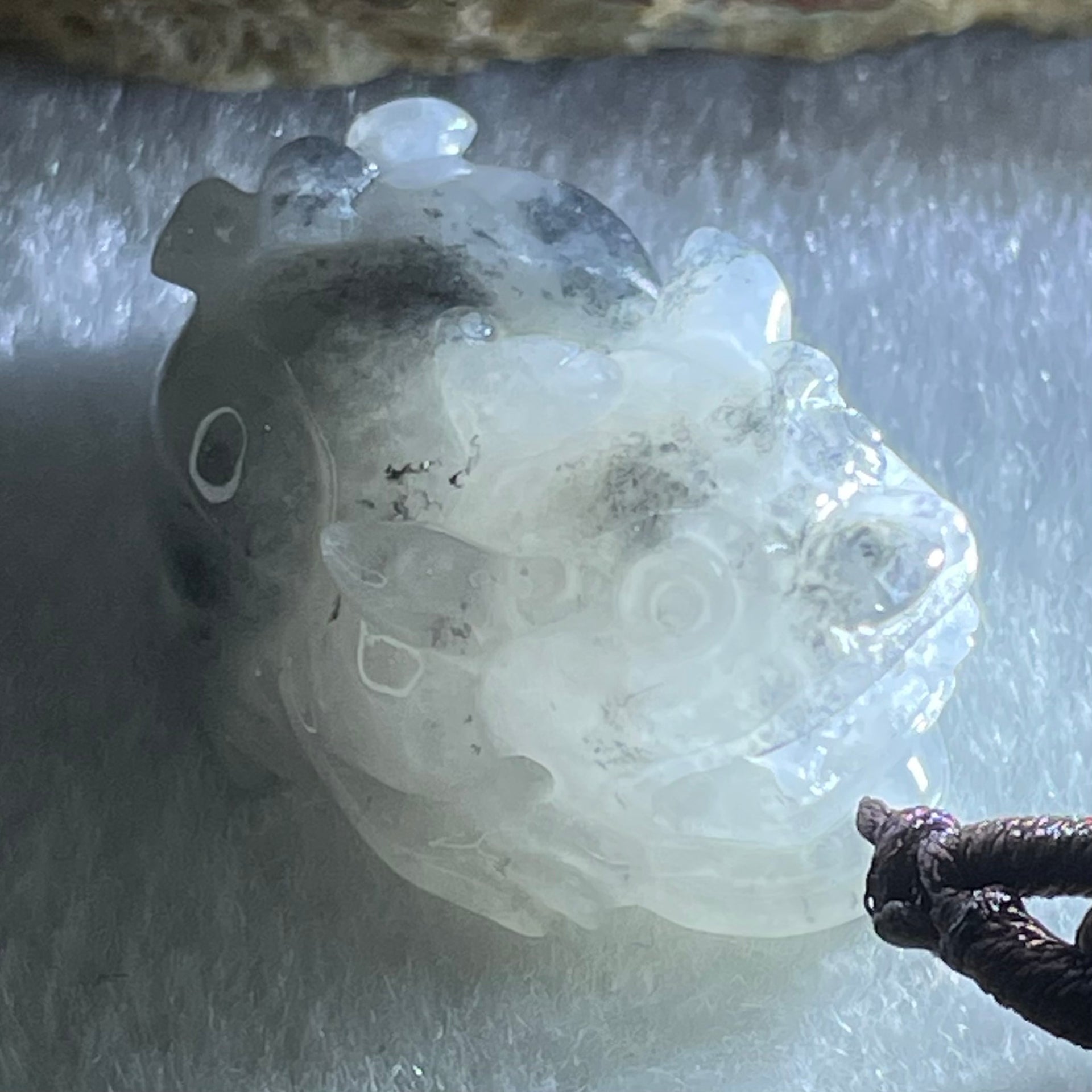 Type A Lavender with Wuji Black Patches Jadeite Male Pixiu Pendant 11.00g 26.0 by 17.7 by 12.8mm - Huangs Jadeite and Jewelry Pte Ltd