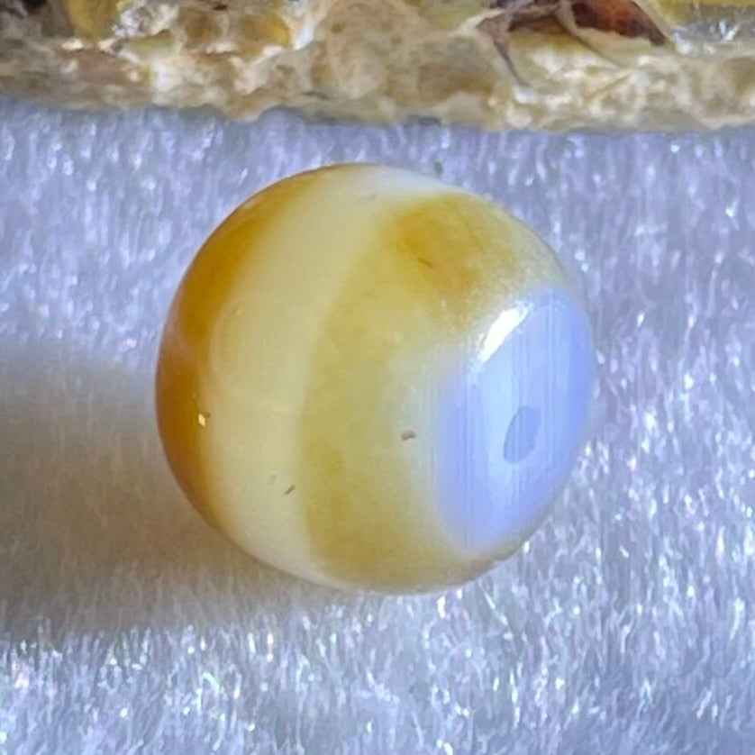 Natural Powerful Tibetan Old Oily Agate 1 Line Dzi Bead Heavenly Master (Tian Zhu) 1.96g 9.7 by 11.3mm - Huangs Jadeite and Jewelry Pte Ltd