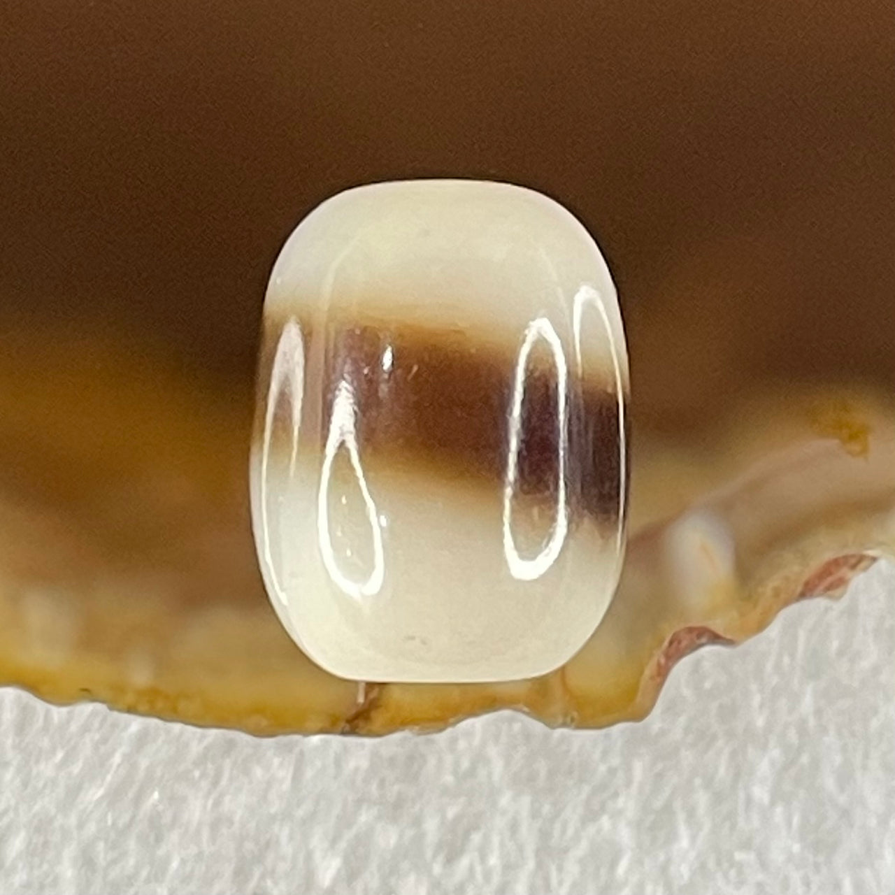 Natural Powerful Tibetan Old Oily Agate 1 Line Dzi Bead Heavenly Master (Tian Zhu) 2.42g 13.9 by 10.5mm - Huangs Jadeite and Jewelry Pte Ltd