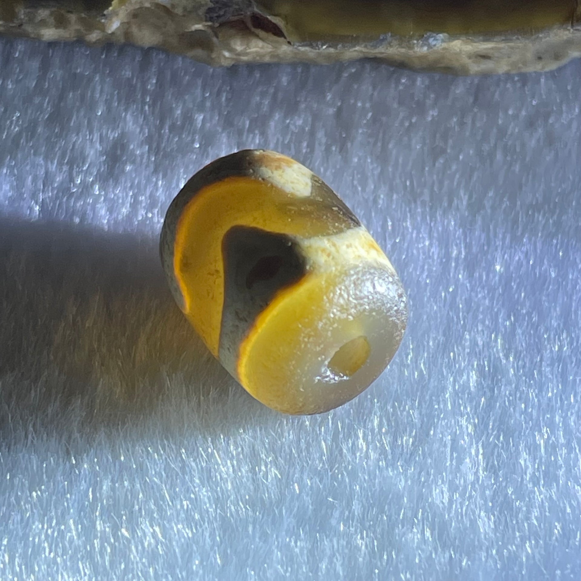 Natural Powerful Tibetan Old Oily Dark Brown Yellow Agate Tiger Tooth Daluo Dzi Bead Heavenly Master (Tian Zhu) 2.06g 12.2 by 10.1mm - Huangs Jadeite and Jewelry Pte Ltd