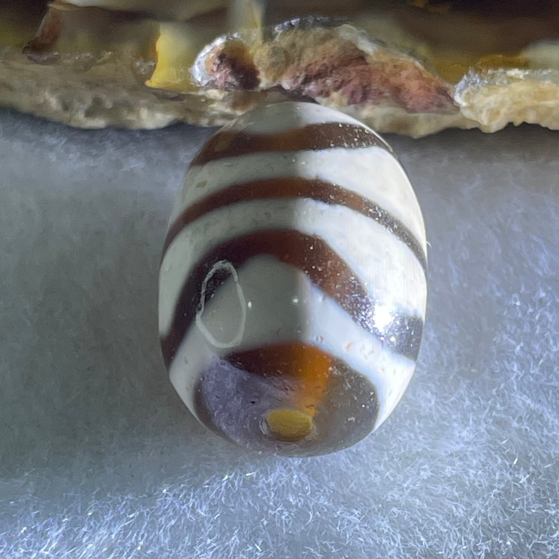 Natural Powerful Tibetan Old Oily Agate Double Tiger Tooth Daluo Dzi Bead Heavenly Master (Tian Zhu) 虎呀天诛 4.72g 17.8 by 13.2mm - Huangs Jadeite and Jewelry Pte Ltd