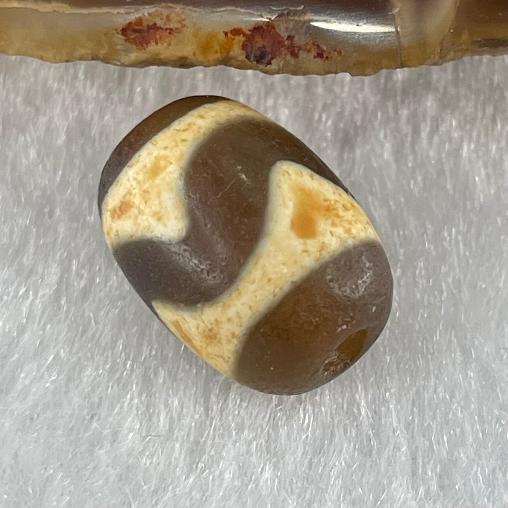 Natural Powerful Tibetan Old Oily Dark Brown Yellow Agate Tiger Tooth Daluo Dzi Bead Heavenly Master (Tian Zhu) 1.98g 13.7 by 9.8mm - Huangs Jadeite and Jewelry Pte Ltd