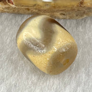 Natural Powerful Tibetan Old Oily Agate Tiger Tooth Daluo Dzi Bead Heavenly Master (Tian Zhu) 虎呀天诛 2.59g 13.4 by 11.0mm - Huangs Jadeite and Jewelry Pte Ltd