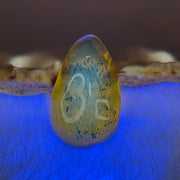 Natural Amber for Setting 1.53g 25.1 by 16.1 by 7.3mm - Huangs Jadeite and Jewelry Pte Ltd