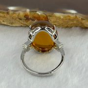 Natural Yellow Amber in S925 Sliver Ring (Adjustable Size) 3.54g 20.1 by 14.5 by 7.0mm - Huangs Jadeite and Jewelry Pte Ltd