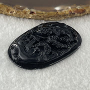 Type A Opaque to Partial Translucent Black Omphacite Jadeite Pixiu Pair with Coins Pendant 19.06g 53.4 by 38.5 by 7.6mm - Huangs Jadeite and Jewelry Pte Ltd