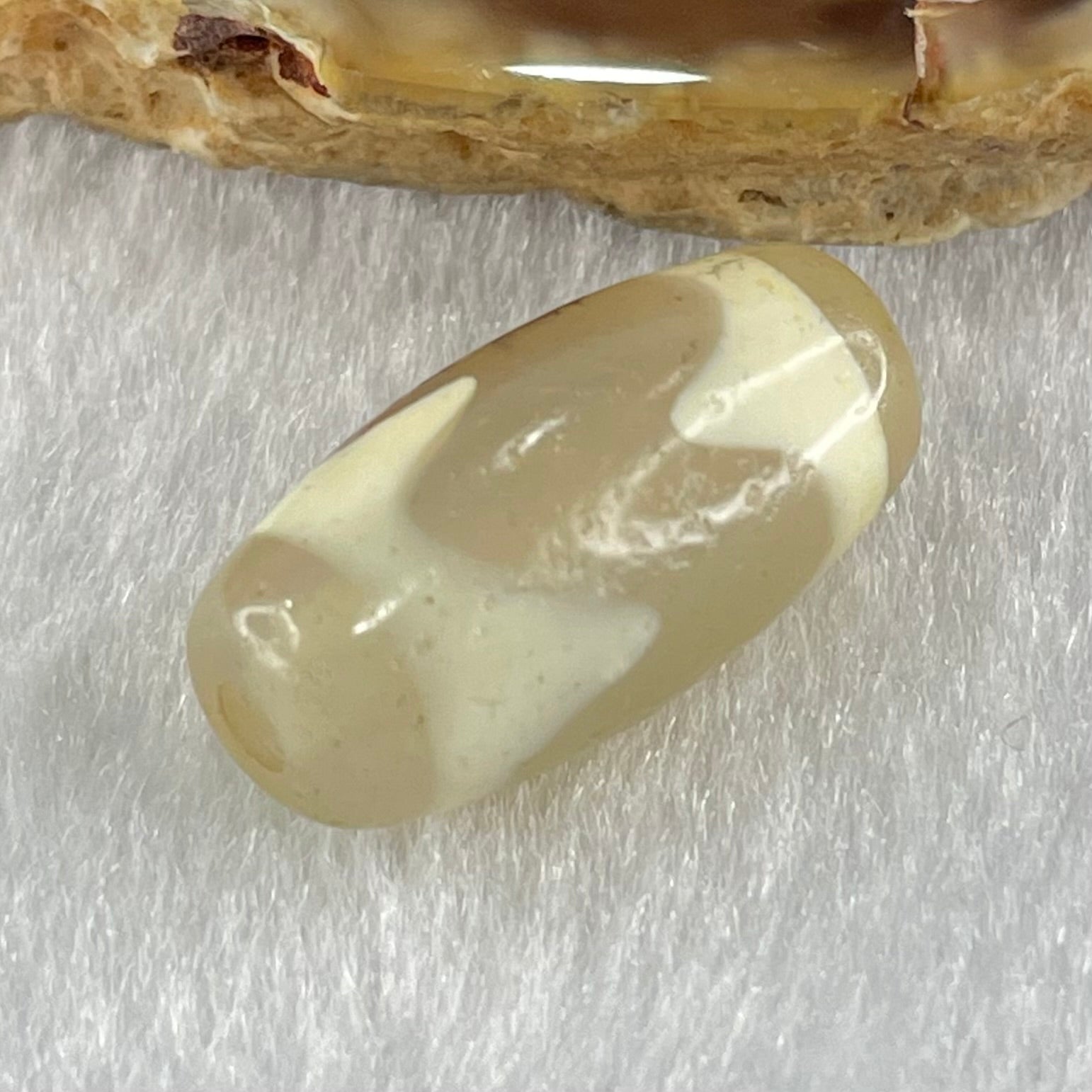 Natural Powerful Tibetan Old Oily Agate Tiger Tooth Daluo Dzi Bead Heavenly Master (Tian Zhu) 虎呀天诛 3.00g 20.1 by 10.1mm - Huangs Jadeite and Jewelry Pte Ltd