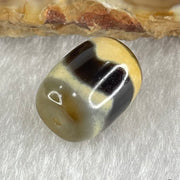 Natural Powerful Tibetan Old Oily Agate Tiger Tooth Daluo Dzi Bead Heavenly Master (Tian Zhu) 虎呀天诛 2.41g 13.3 by 10.4mm - Huangs Jadeite and Jewelry Pte Ltd