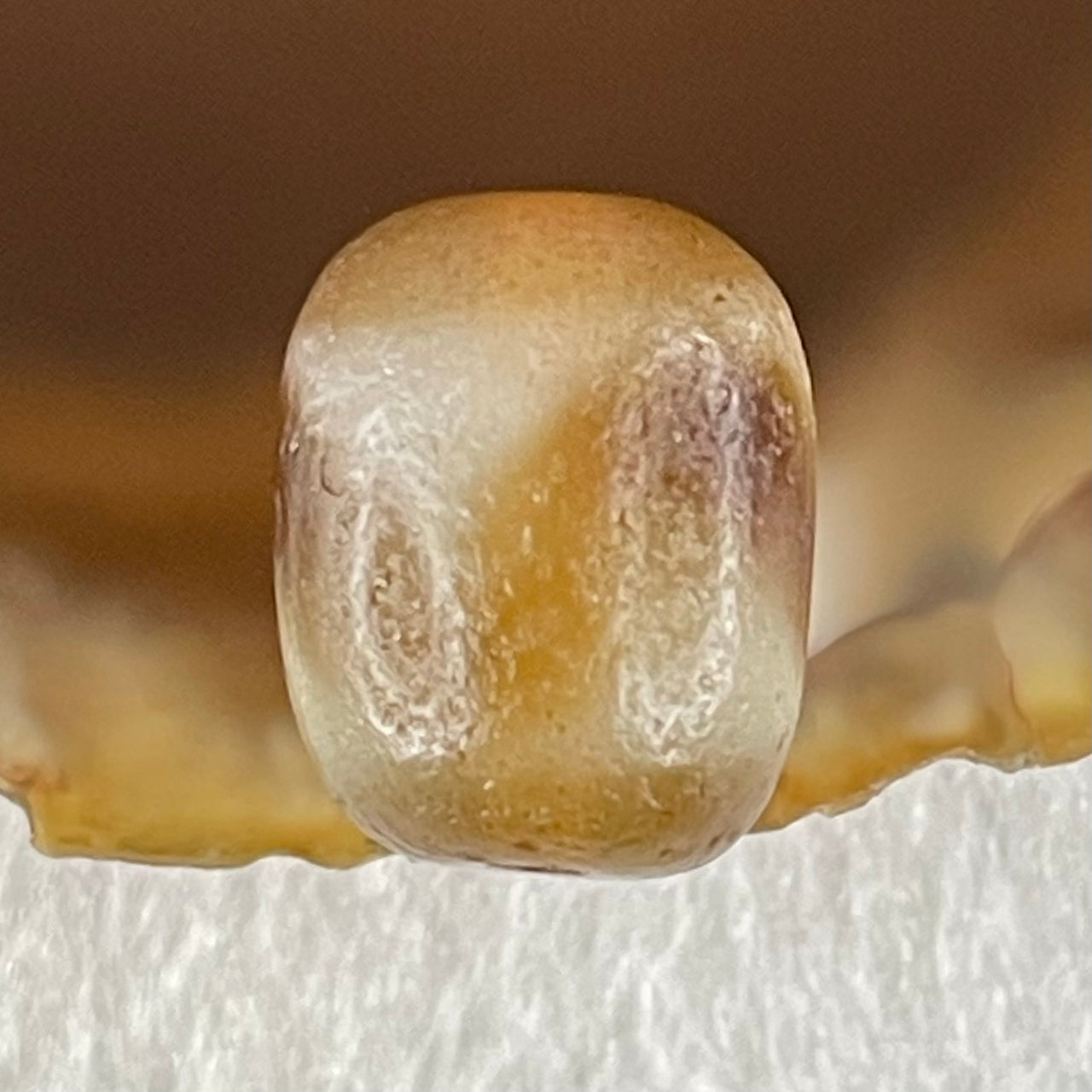 Natural Powerful Tibetan Old Oily Agate Tiger Tooth Daluo Dzi Bead Heavenly Master (Tian Zhu) 虎呀天诛 2.62g 13.8 by 11.0mm - Huangs Jadeite and Jewelry Pte Ltd