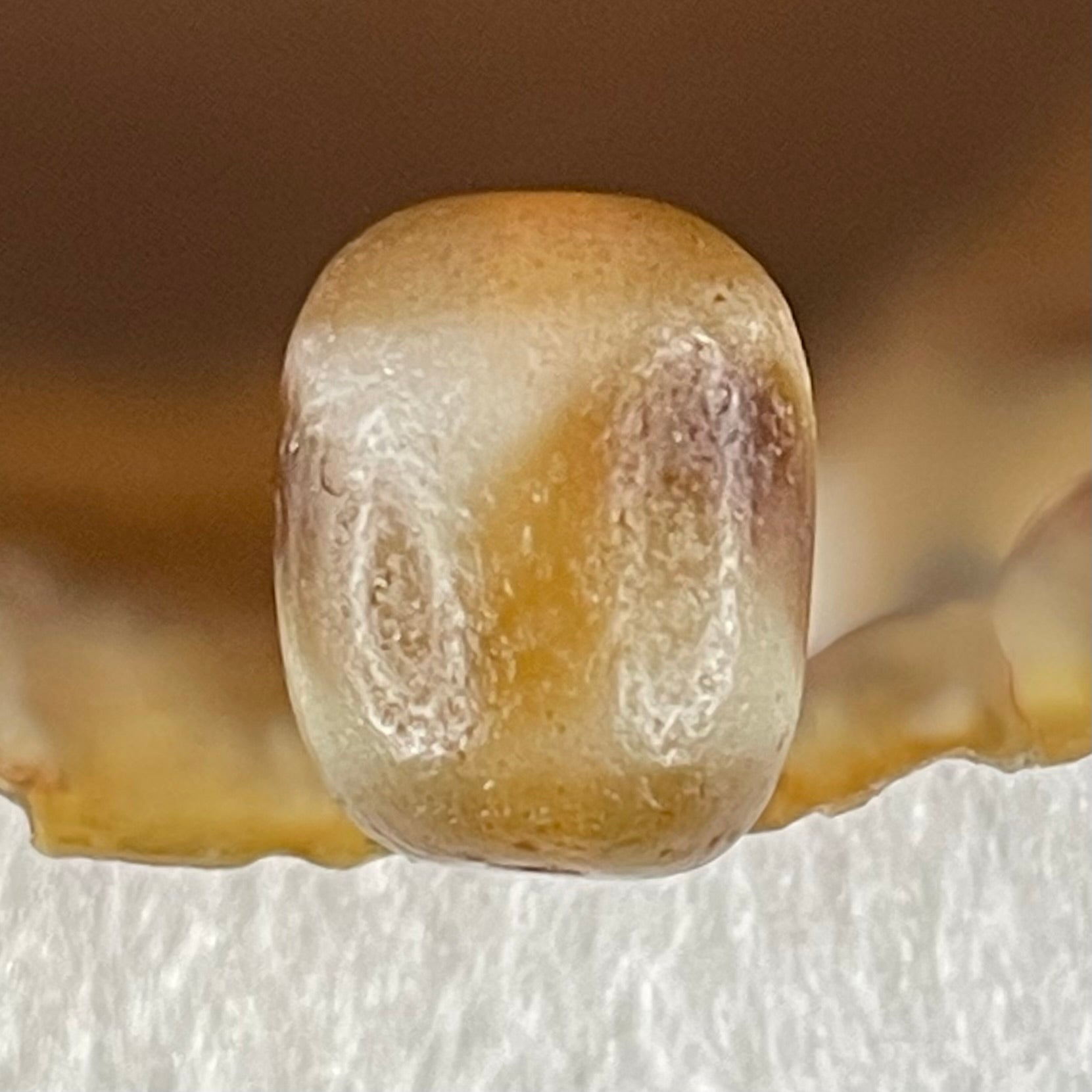 Natural Powerful Tibetan Old Oily Agate Tiger Tooth Daluo Dzi Bead Heavenly Master (Tian Zhu) 虎呀天诛 2.62g 13.8 by 11.0mm - Huangs Jadeite and Jewelry Pte Ltd