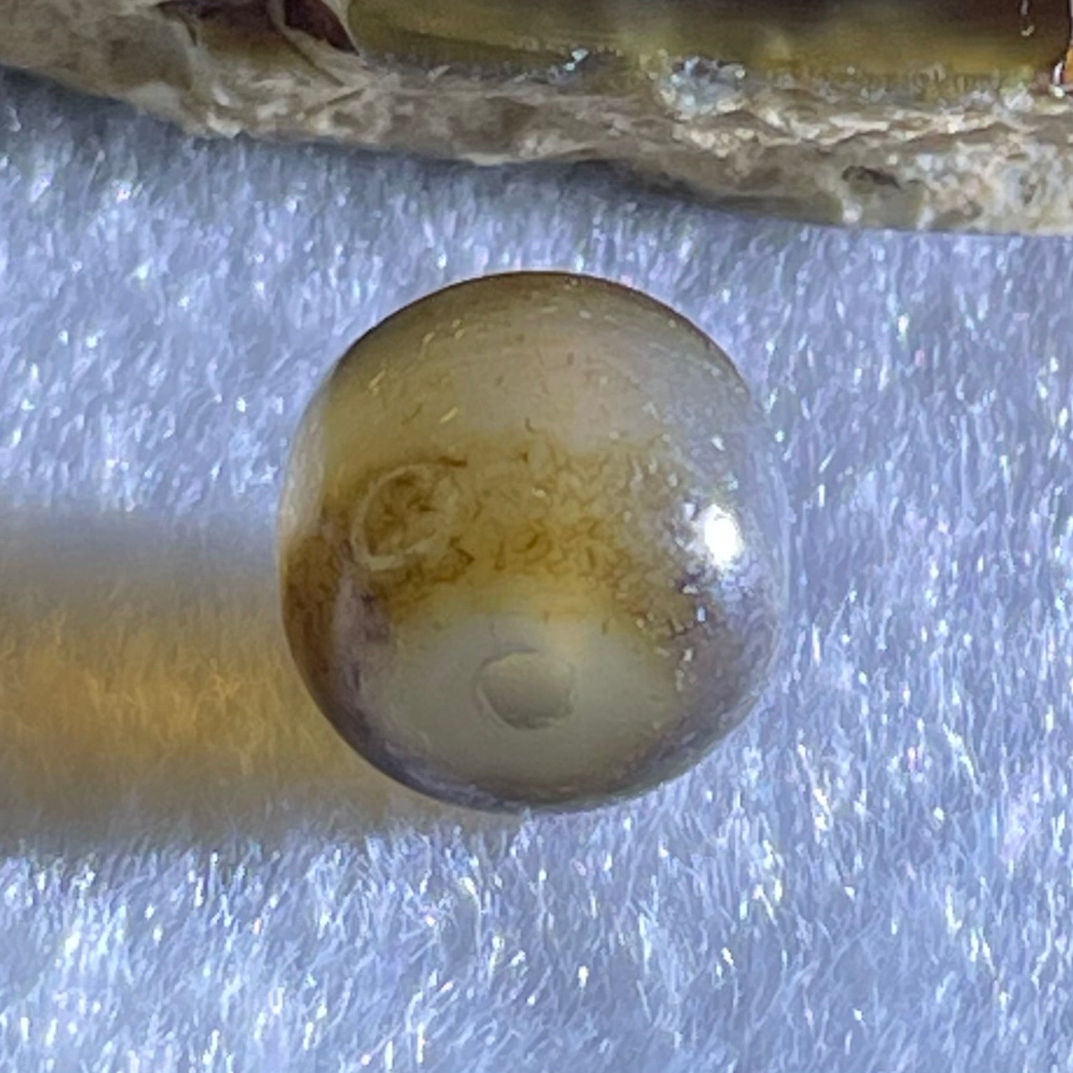 Natural Powerful Tibetan Old Oily Agate 1 Line Dzi Bead Heavenly Master (Tian Zhu) 1.76g 9.8 by 10.8mm - Huangs Jadeite and Jewelry Pte Ltd