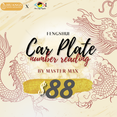 Car Plate Number Reading - Huangs Jadeite and Jewelry Pte Ltd