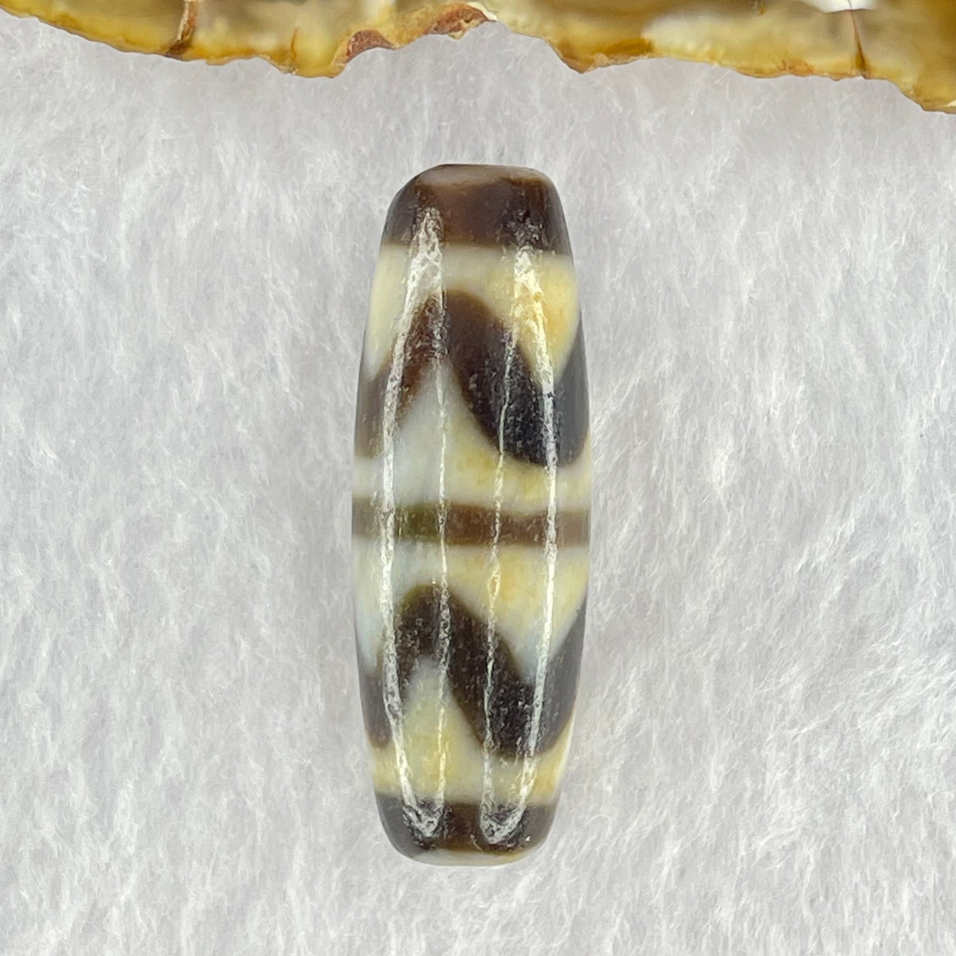Natural Powerful Tibetan Old Oily Dark Brown White Yellow Agate Double Tiger Tooth Daluo Dzi Bead Heavenly Master (Tian Zhu) 双虎呀天诛 9.79g 37.6 by 13.0mm - Huangs Jadeite and Jewelry Pte Ltd