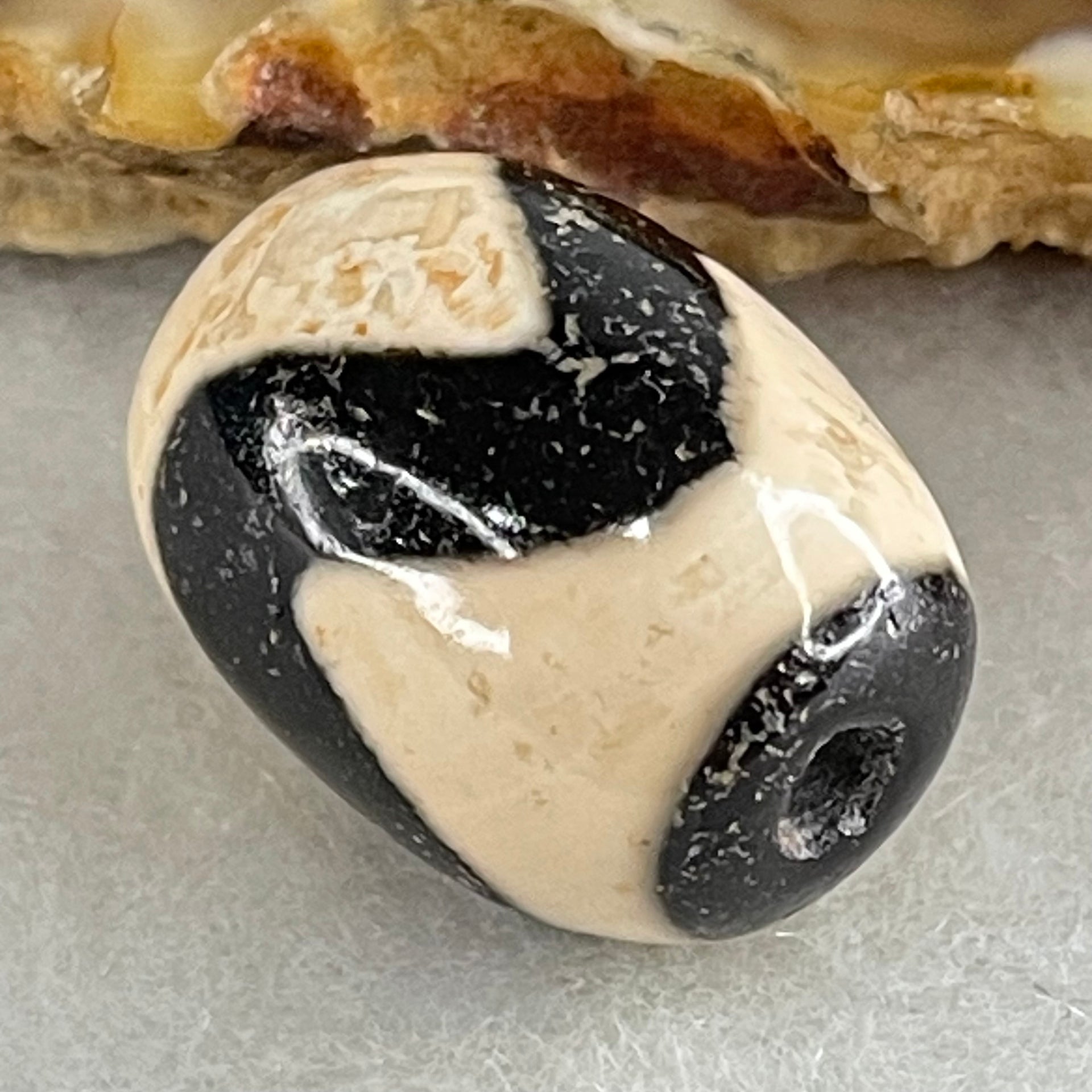 Natural Powerful Tibetan Old Oily Agate Tiger Tooth Daluo Dzi Bead Heavenly Master (Tian Zhu) 虎呀天诛 4.62g 17.9 by 13.3mm - Huangs Jadeite and Jewelry Pte Ltd