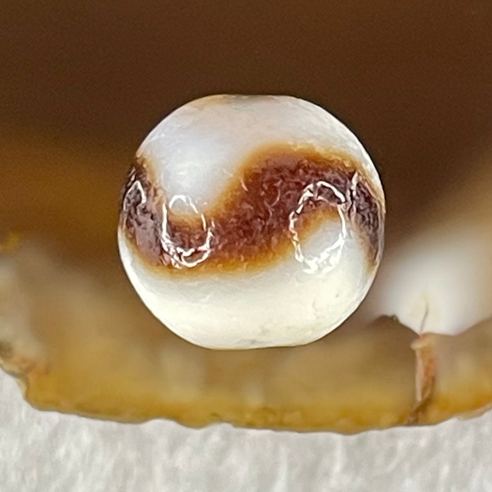 Natural Powerful Tibetan Old Oily Agate Tiger Tooth Daluo Dzi Bead Heavenly Master (Tian Zhu) 虎呀天诛 1.33g 9.5 by 10.0mm - Huangs Jadeite and Jewelry Pte Ltd