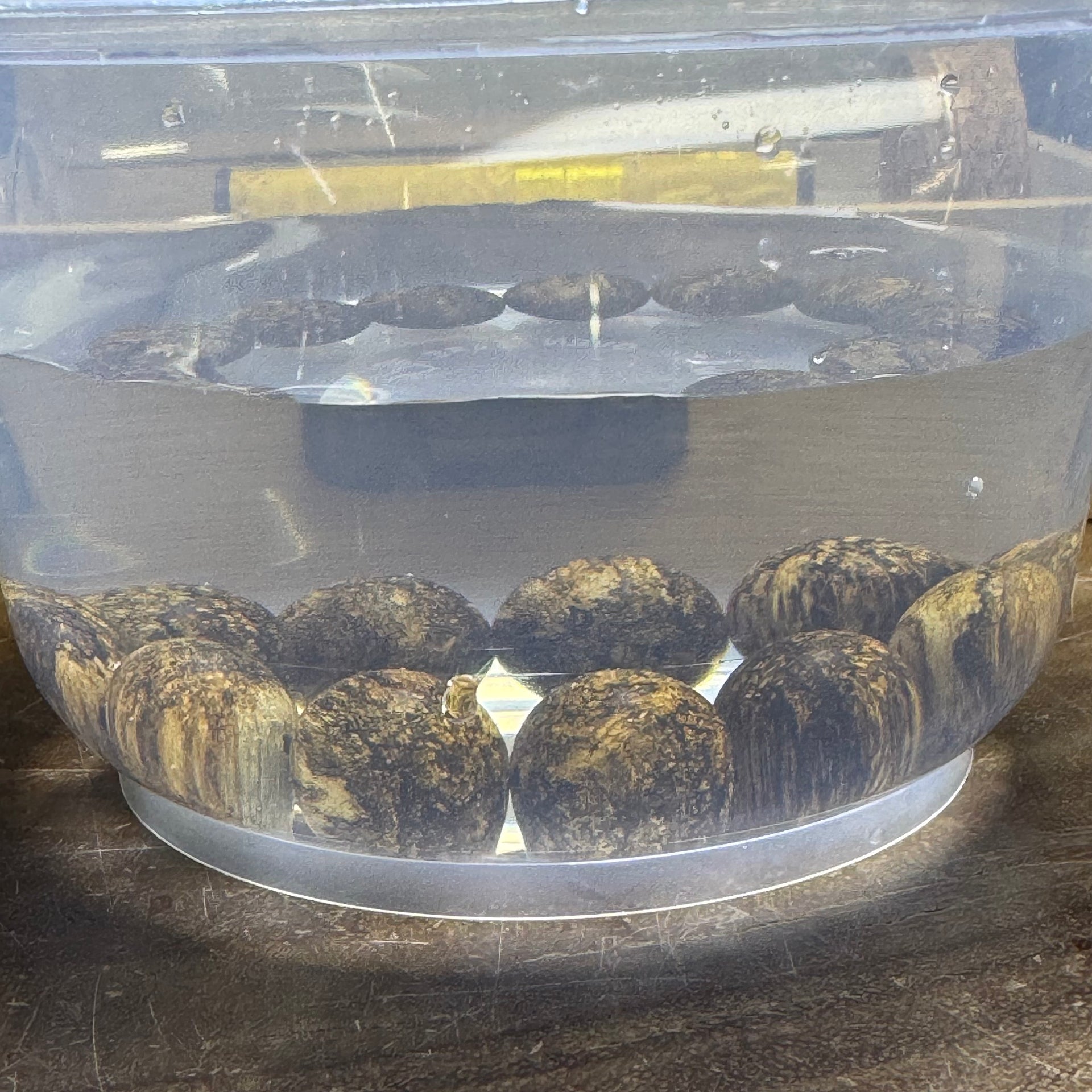 Natural Wild Vietnam Black Kynam Qi Nan Chen Xiang Mu Agarwood Beads Bracelet (Sinking Type) 39.37g 18.5cm 18.0 mm 13 Beads - Huangs Jadeite and Jewelry Pte Ltd