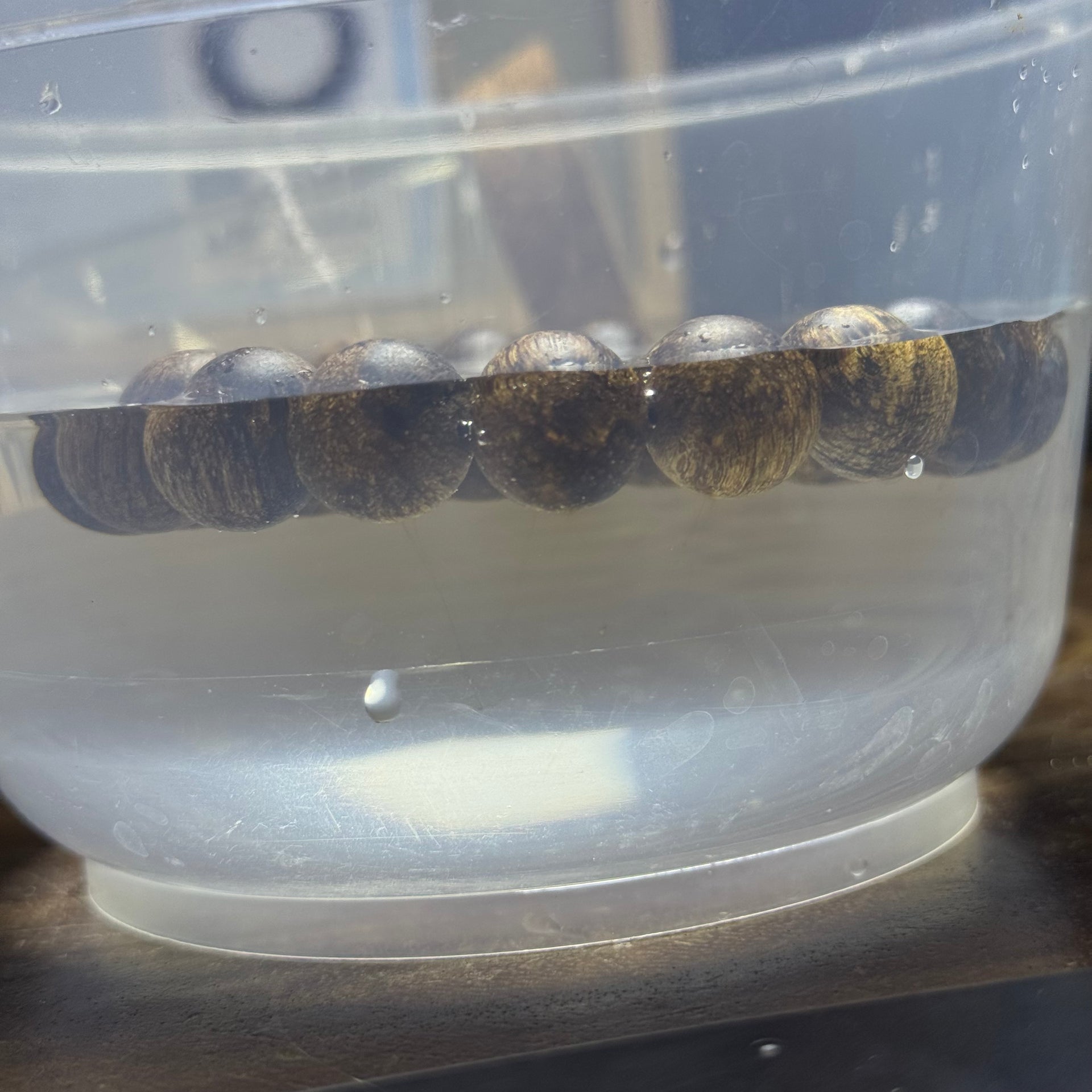 Natural Wild Vietnam Black Kynam Qi Nan Chen Xiang Mu Agarwood Beads Bracelet (Half Sinking Type 沉水) 天然野生越南黑奇南沉香珠手链 19.70g 18cm 14.2 mm 15 Beads - Huangs Jadeite and Jewelry Pte Ltd