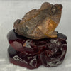 Natural Brown Red Yellow Agate 3 Legged Toad with Prosperity Coins and Wooden Stand 972.5g 135.3 by 98.7 by 131.2mm - Huangs Jadeite and Jewelry Pte Ltd