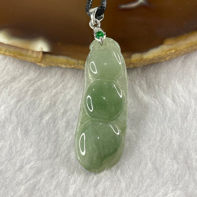 Type A Semi Icy Green Piao Hua Jade Jadeite Peapods Pendant with 925 Silver Clasp - 6.96g 41.1 by 14.8 by 4.9mm - Huangs Jadeite and Jewelry Pte Ltd