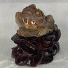 Natural Brown Red Yellow Agate 3 Legged Toad with Prosperity Coins and Wooden Stand 972.5g 135.3 by 98.7 by 131.2mm - Huangs Jadeite and Jewelry Pte Ltd