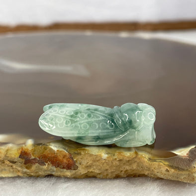 Type A Lavender Spicy Green Jadeite Cicada 5.70g 27.8 by 13.9 by 8.9mm - Huangs Jadeite and Jewelry Pte Ltd