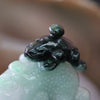 Type A Burmese Jade Jadeite Chan Chu - 47.77g L48.4 D26.2 W36.7mm - Huangs Jadeite and Jewelry Pte Ltd