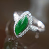 Type A Green Burmese jadeite ring in 18k white gold & natural diamonds - Huangs Jadeite and Jewelry Pte Ltd