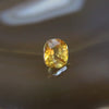 Natural Faceted Yellow Sapphire 黄宝石 - 3.2cts L7.9 W7.0 D5.8mm - Huangs Jadeite and Jewelry Pte Ltd