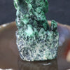 Type A Burmese Jade Jadeite Iguana - 240.61g L109.2 W59.9 D38.6mm - Huangs Jadeite and Jewelry Pte Ltd