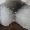Agate Geode Healing Crystal Crocodile Display - Huangs Jadeite and Jewelry Pte Ltd