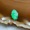 Type A Spicy Green Jade Jadeite Chan Chu 0.95g 13.1 by 8.4 by 5.0mm - Huangs Jadeite and Jewelry Pte Ltd