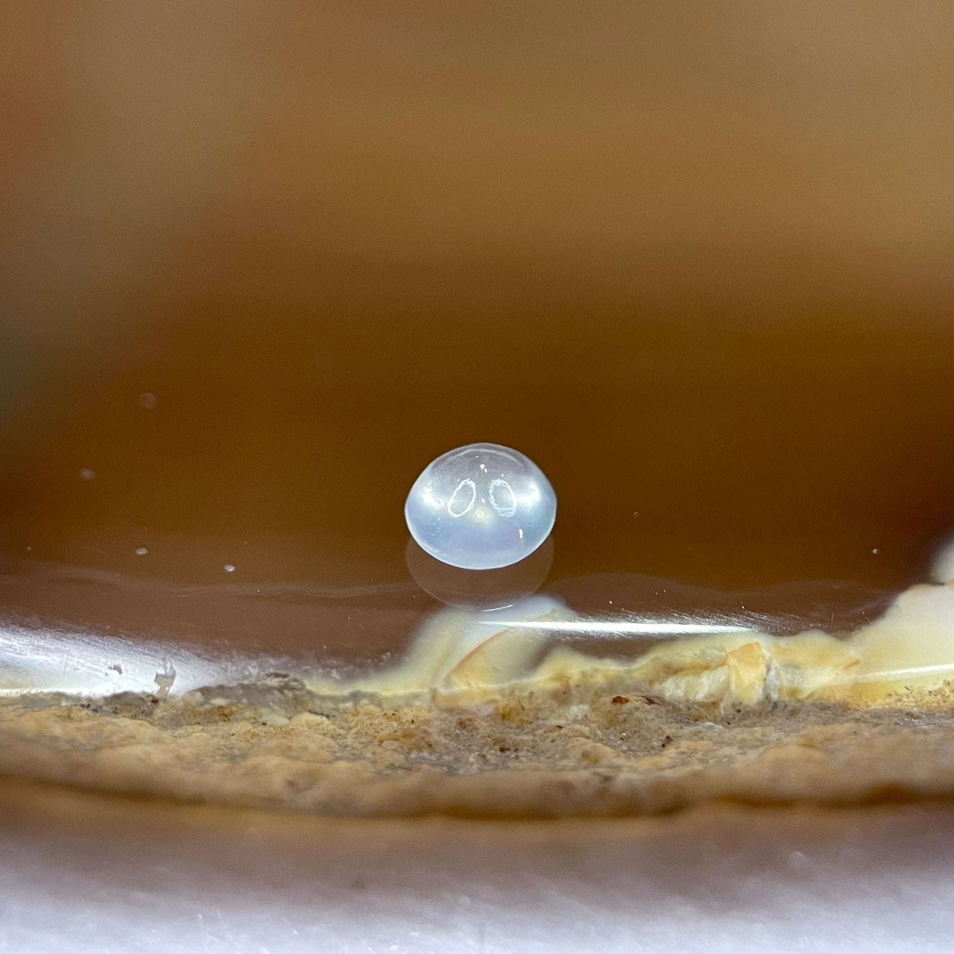 Type A Icy Light Green Jade Jadeite Cabochon for Setting - 0.30ct 4.5 by 3.9 by 2.3mm - Huangs Jadeite and Jewelry Pte Ltd