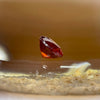 Natural Orange Red Garnet Crystal Stone for Setting - 1.05ct 5.7 by 5.7 by 3.7mm - Huangs Jadeite and Jewelry Pte Ltd