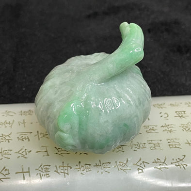 Type A Green Garlic with Ruyi Display Piece - 163.33g 55.0 by 49.8 by 43.4mm - Huangs Jadeite and Jewelry Pte Ltd