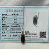 Type A Green Omphacite Jade Jadeite Ruyi - 3.15g 37.2 by 12.4 by 6.1mm - Huangs Jadeite and Jewelry Pte Ltd