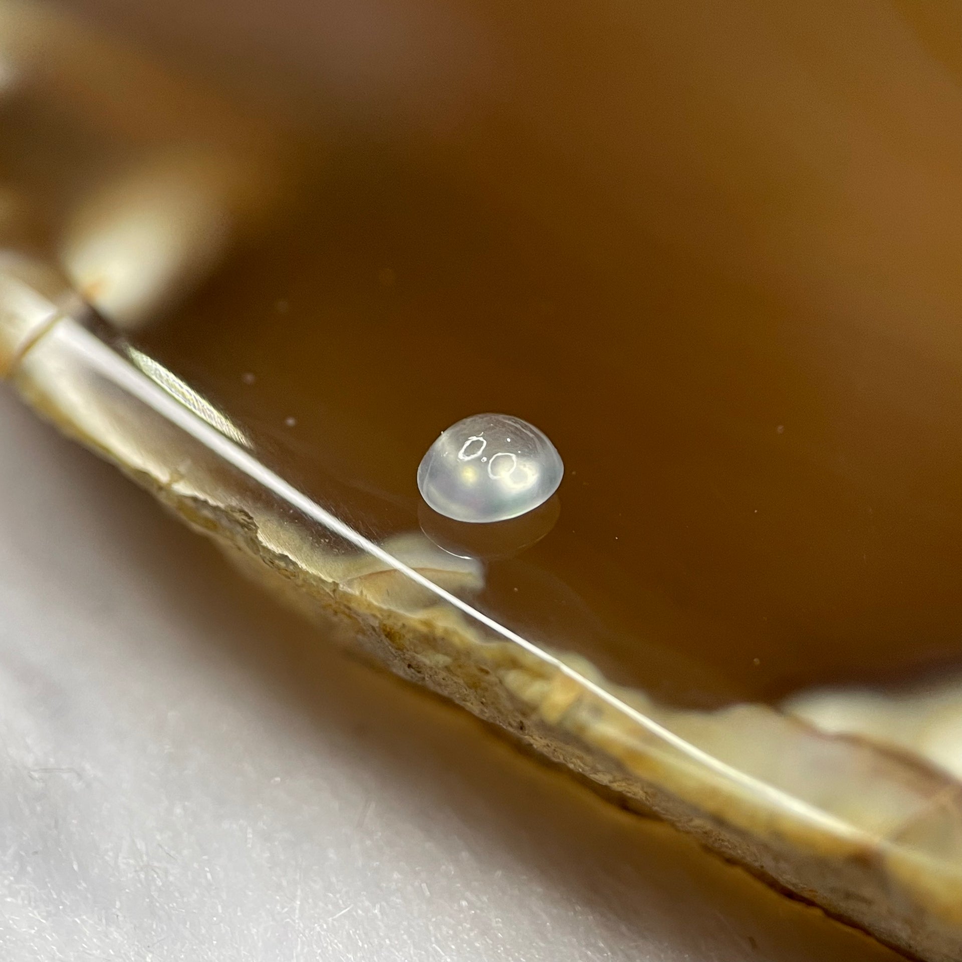 Type A Icy Light Green Jade Jadeite Cabochon for Setting - 0.30ct 4.5 by 3.9 by 2.3mm - Huangs Jadeite and Jewelry Pte Ltd