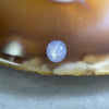 Natural Bluish Grey Star Sapphire 1.05 carats 6.2 by 5.4 by 2.8mm - Huangs Jadeite and Jewelry Pte Ltd
