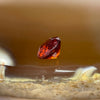 Natural Orange Red Garnet Crystal Stone for Setting - 1.15ct 5.7 by 5.7 by 3.8mm - Huangs Jadeite and Jewelry Pte Ltd